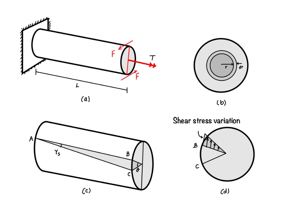  This image shows the torsion in the shaft. We have four parts in the figure. 